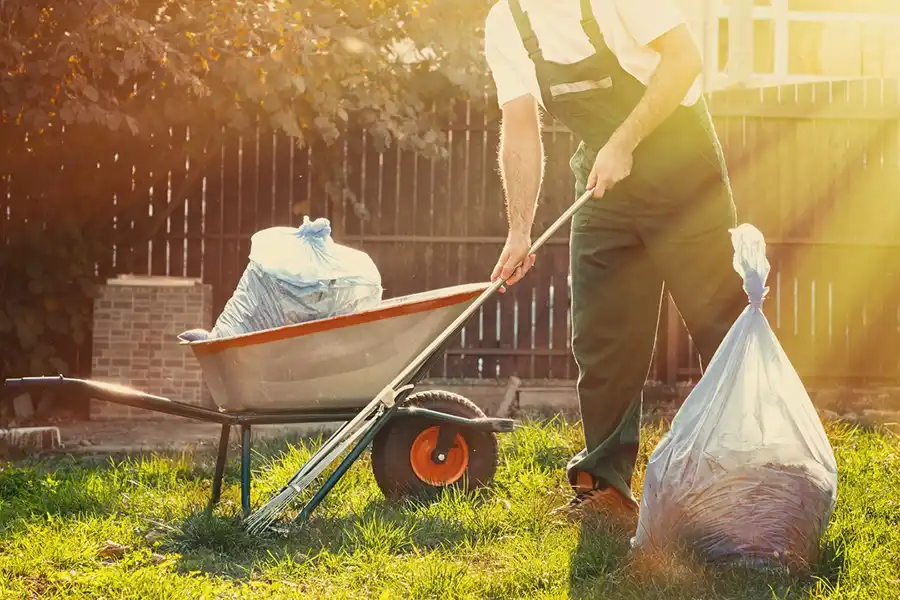 Spring Clean-Up